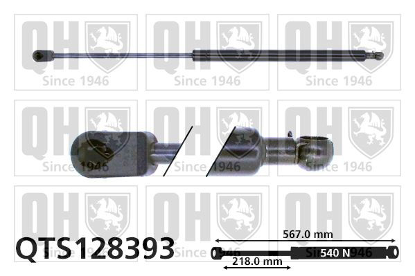 QTS128393 QUINTON HAZELL Амортизатор кришки багажника / двері 3/5-ї задньої